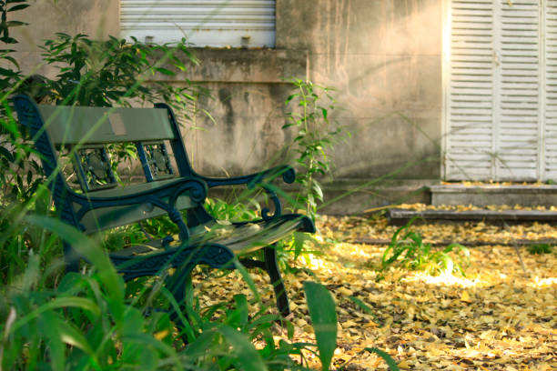 GREEN SQUARE BENCH IN EMPTY AUTUMN LANDSCAPE WITH BUILDING IN THE BACKGROUND EMPTY WOODEN SQUARE BENCH, AMONG GREEN PLANTS WITH DRIED YELLOW AUTUMN LEAVES AROUND, BUILDING WITH WHITE SHUTTERS IN THE BACKGROUND, AUTUMN LANDSCAPE ausencia stock pictures, royalty-free photos & images