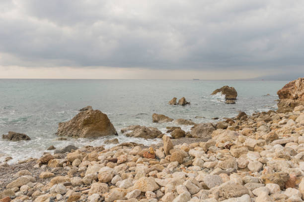 istock Beaches of Malaga 1127643440