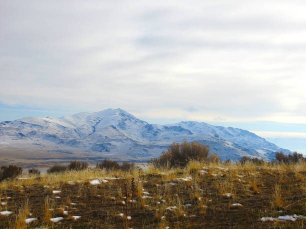 istock Antelope Island Nature Scene 1127644133
