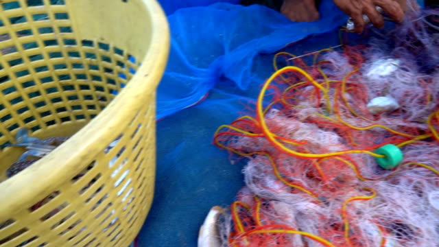 Fishing Industry, Sorting the fish for fishermen.