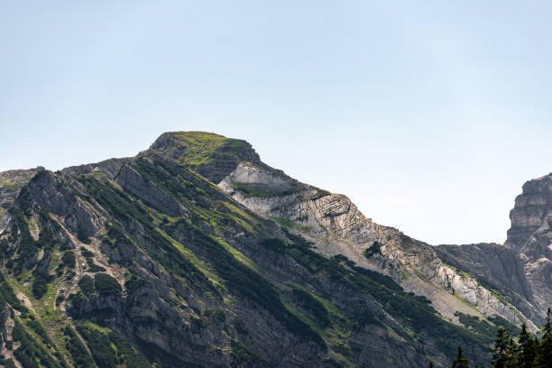 istock overgrown peak in the bavarian alps 1127645626