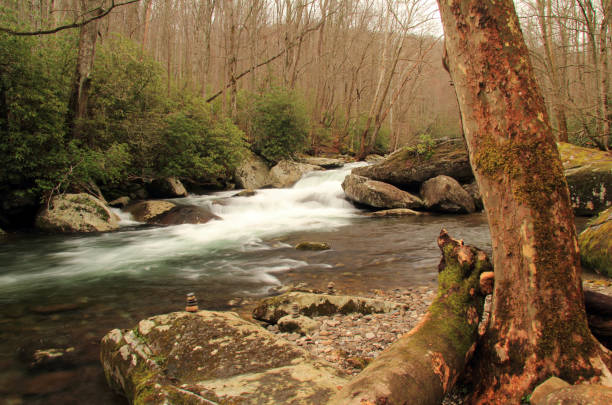 istock Little River in Great Smokey Mountains National Park 1127650849