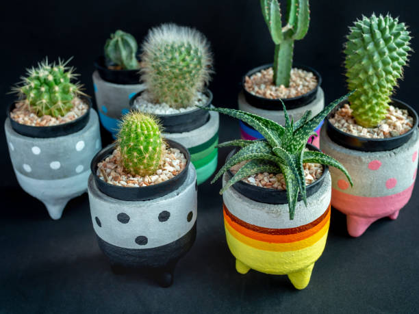 istock Colorful cute concrete planters. Painted concrete planters for home decoration 1127668343