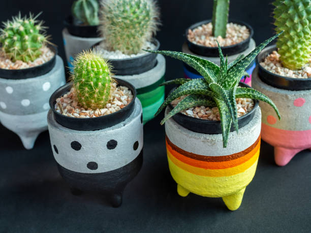 istock Colorful cute concrete planters. Painted concrete planters for home decoration 1127668345