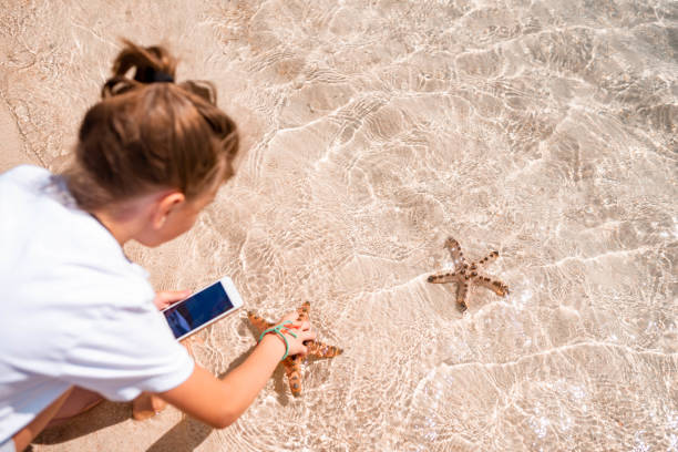 istock Girl photographing a starfish on the sandy beach 1127675341