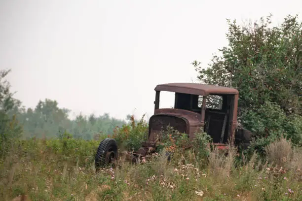 Old abandoned 1920's car in meadow with wildflowers and bushes