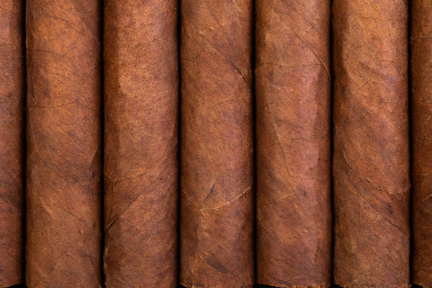 istock background and texture of Cuban cigars 1127677481