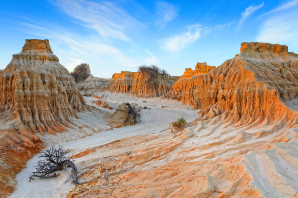 istock Desert landscape in Mungo outback Australia 1127677640