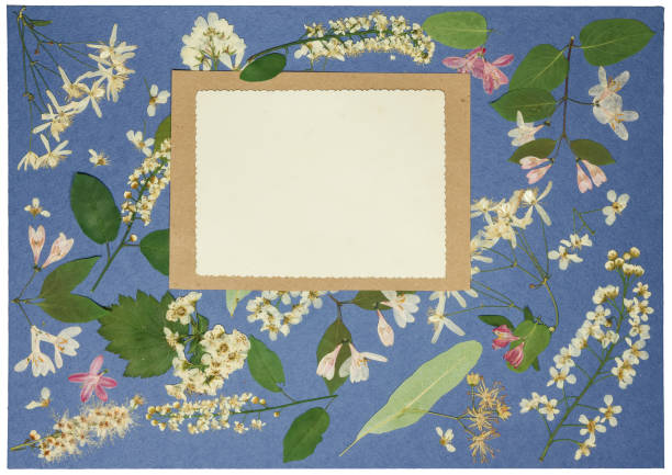 istock Page from old photo album, scrapbooking element. 1127677870