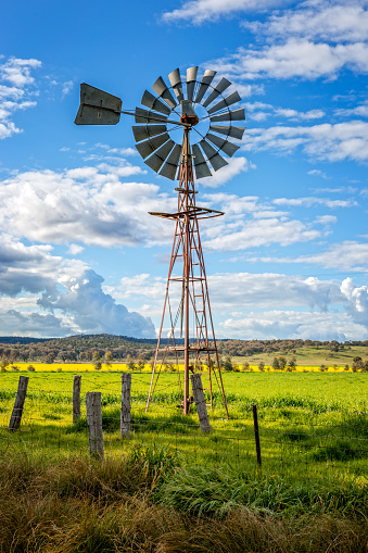 Southern cross windmill in a rural field with crops growing under a blue sky