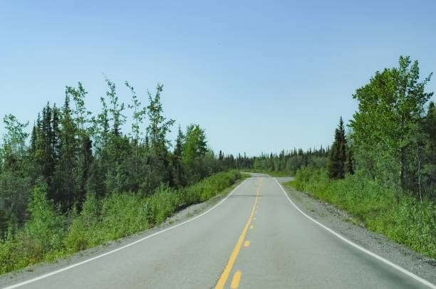 istock Traveling In Alaska 1127681759