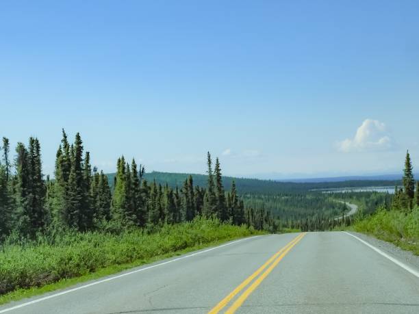 istock Traveling In Alaska 1127681936