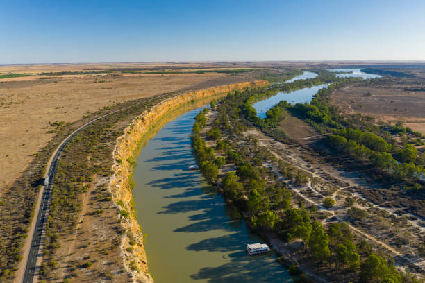 Aerial view of Murray River in South Australia Aerial view of Big Bend in the Murray River in South Australia swan at dawn stock pictures, royalty-free photos & images