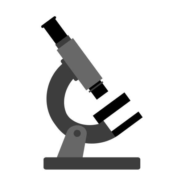 Lateral Test Vector 60+ Lateral Testing Stock Illustrations, Royalty-Free Vector Graphics ...