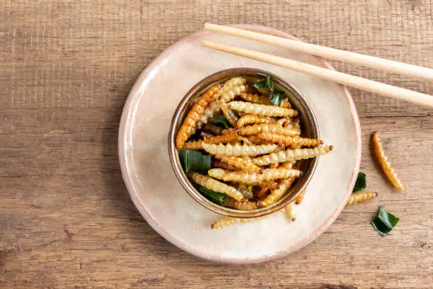 Photo of Bamboo edible worm insects crispy or Bamboo Caterpillar in a ceramic bowl on a wood table. The concept of protein food sources from insects. It is a good source of protein, vitamin, and fiber.