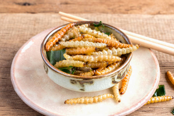 istock Bamboo edible worm insects crispy or Bamboo Caterpillar in a ceramic bowl on a wood table. The concept of protein food sources from insects. It is a good source of protein, vitamin, and fiber. 1127700249