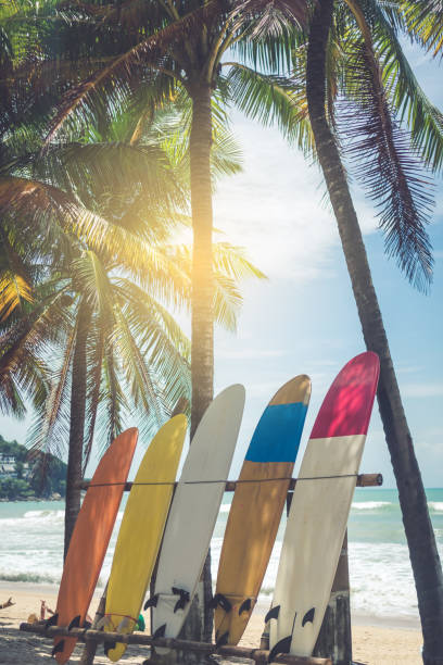 istock Many surfboards beside coconut trees at summer beach with sun light and blue sky background. 1127705145