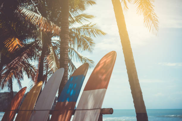 istock Many surfboards beside coconut trees at summer beach with sun light and blue sky background. 1127705146