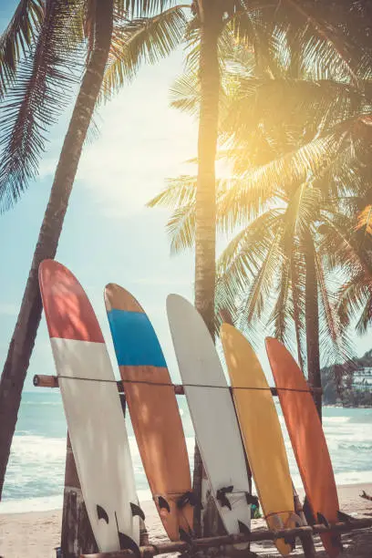 Photo of Many surfboards beside coconut trees at summer beach with sun light and blue sky background.