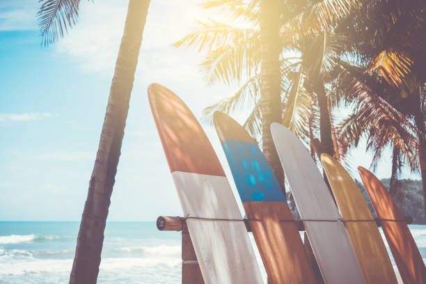 istock Many surfboards beside coconut trees at summer beach with sun light and blue sky background. 1127705168