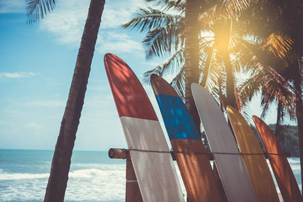 istock Many surfboards beside coconut trees at summer beach with sun light and blue sky background. 1127705172