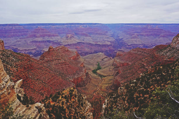 Grand Canyon View over the magical Grand Canyon. purpur stock pictures, royalty-free photos & images