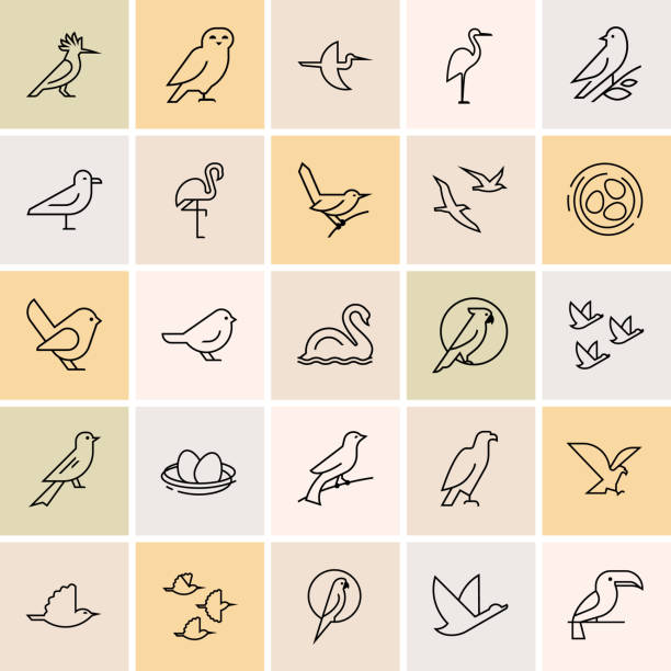 Birds icon set. Logotype or brand for company. Web site isolated icon set. Isolated items birds icon set in line style. Birds icon set in gray color. Perfect for illustration, decoration and print. pics for toucan flying stock illustrations