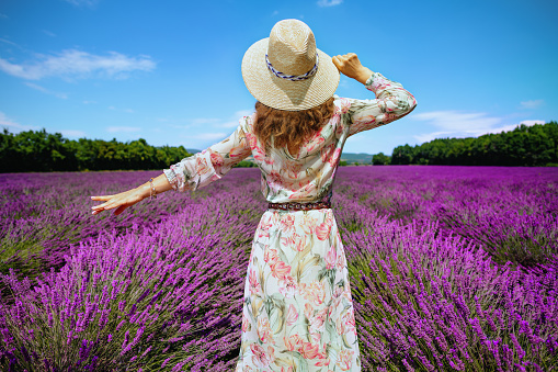 Seen from behind stylish woman at lavender field in Provence, France in straw hat. You can't miss magic of the lavender blooming fields in July. Popular place for touristic photos. Woman in straw hat