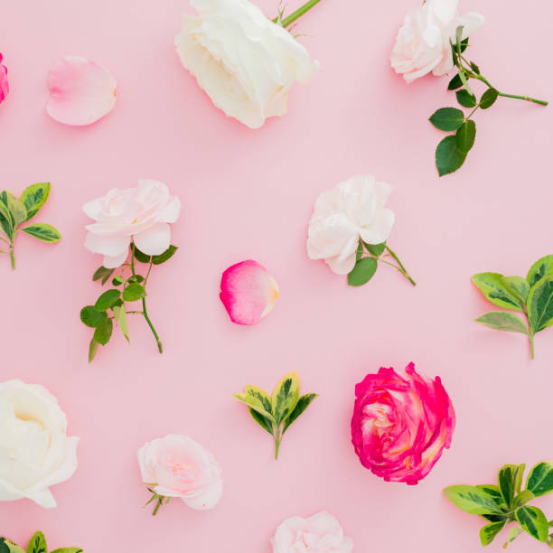 istock Floral pattern with white and red roses flowers on pink background. Flat lay, top view. 1127713607