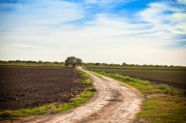 istock Winding dirt track in countryside 1127715322