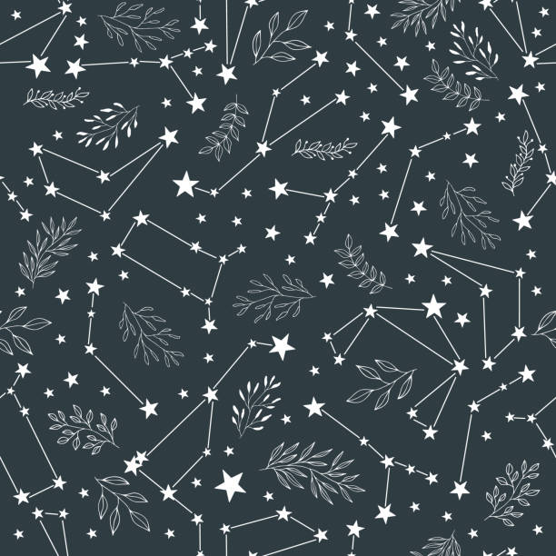 illustrazioni stock, clip art, cartoni animati e icone di tendenza di motivo senza cuciture con stelle cadenti, foglie, erbe e segni zodiacali. - star trail galaxy pattern star