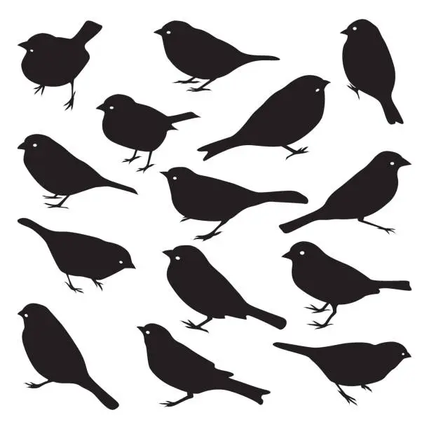 Vector illustration of Vector set of sparrow silhouettes.