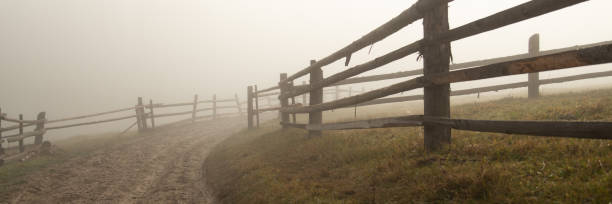 Dirt road in the fog in autumn stock photo