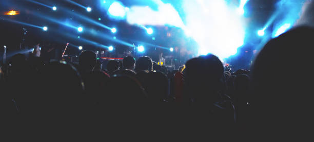 istock Group of people having fun at music concert 1127721964