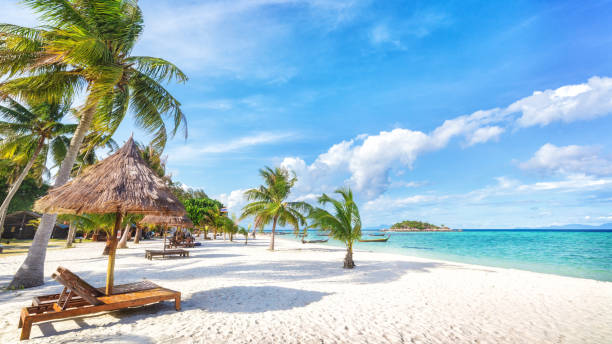 Asian tropical beach paradise in Thailand Empty sunny Koh Lipe island Beach with tall palms and beach bungalows satun province stock pictures, royalty-free photos & images