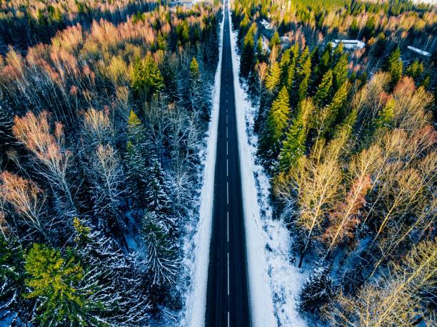aerial view of snowy forest with a road. captured from above with a drone - forest road nature birch tree imagens e fotografias de stock