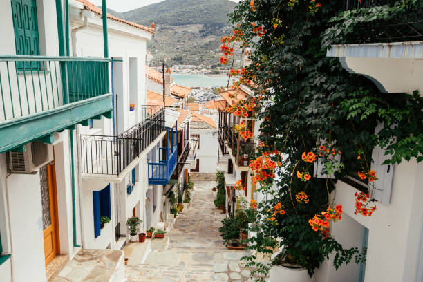 Mediterranean street covered with flowers.