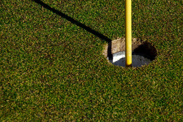 istock Close-up of hole and flag stick on a golf course 1127738231