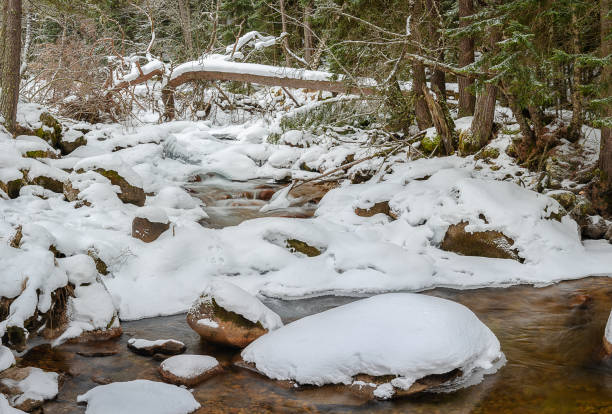 istock mountain river flows in the winter in the snow in Teberda 1127741672