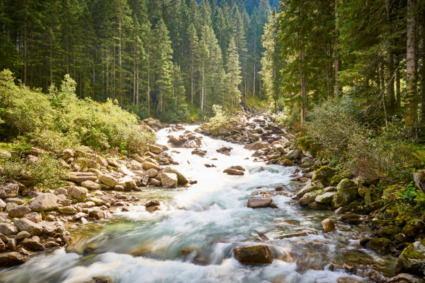 istock The Krimml Waterfalls / the highest waterfall in Austria 1127742874