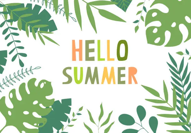 Vector illustration of Summer frame with green tropical leaves