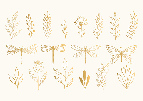 Set of golden herbs, dragonflies and butterfly. Vector summer illustration. Isolated. Hand drawn ink texture.