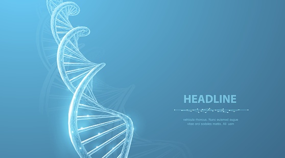 Abstract 3d polygonal wireframe DNA molecule helix spiral on blue. Medical science, genetic biotechnology, chemistry biology, gene cell concept vector illustration or background