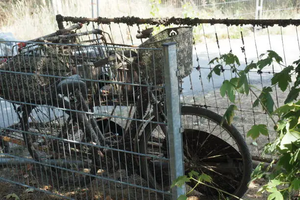 Bicycle on the hook, fished out of the Havel, rubbish & scrap