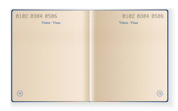 Inside Blank Passport Template Vector Illustration of two interior pages of a blank passport passport stock illustrations