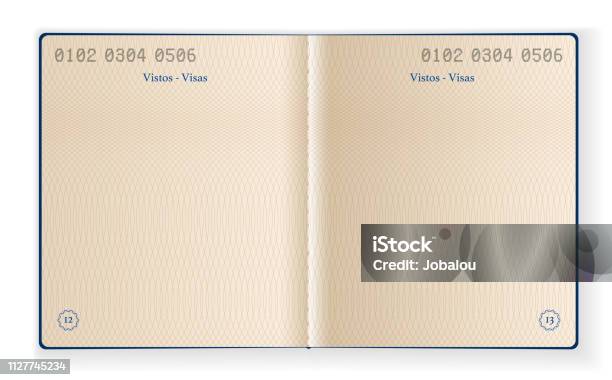 Inside Blank Passport Template Stock Illustration - Download Image Now - Passport, Inside Of, Vector