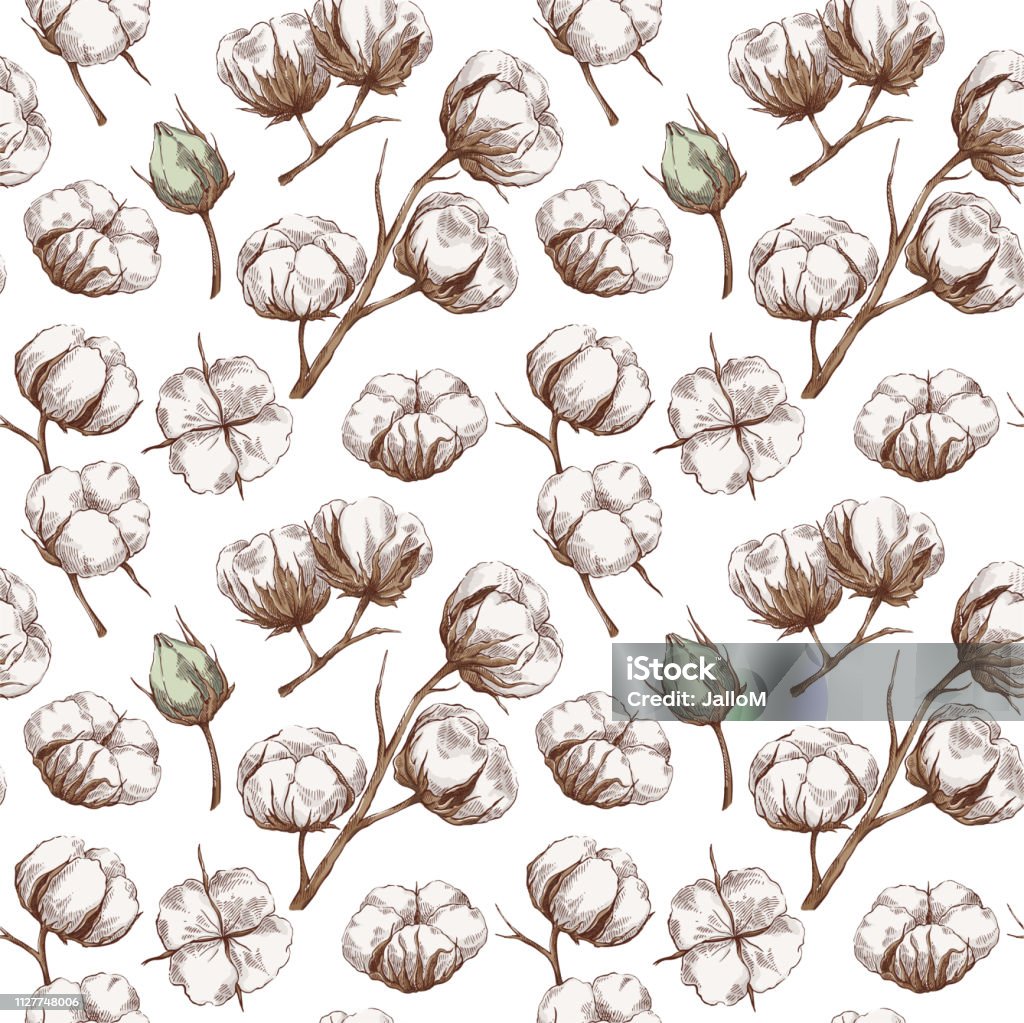 Cotton Design Pattern Seamless Cotton Pattern Stock Illustration - Download Image Now ...