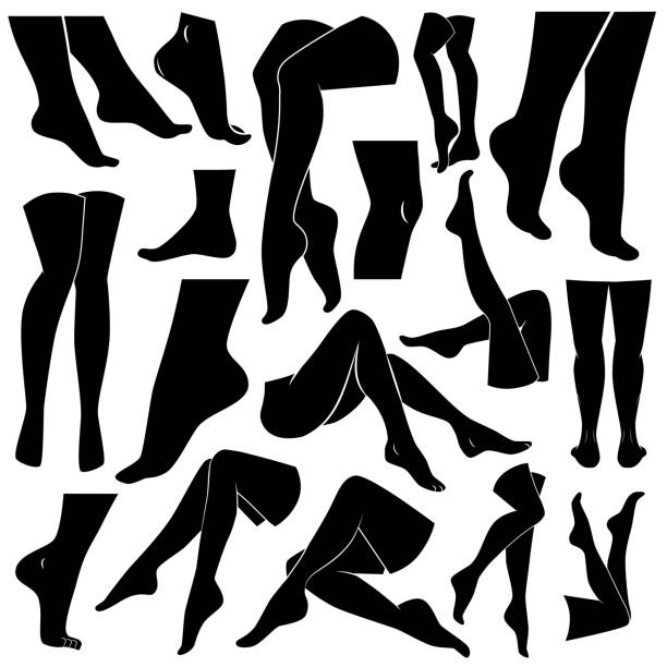 illustrations, cliparts, dessins animés et icônes de femmes jambes, pied vecteur jeu d’icônes. - body care femininity human leg human foot