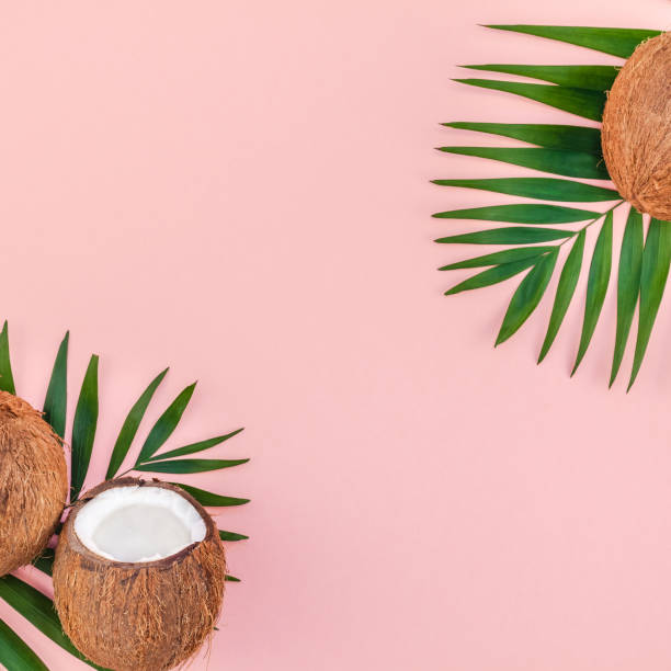 istock Palm leaves and coconuts on pink pastel background 1127759731