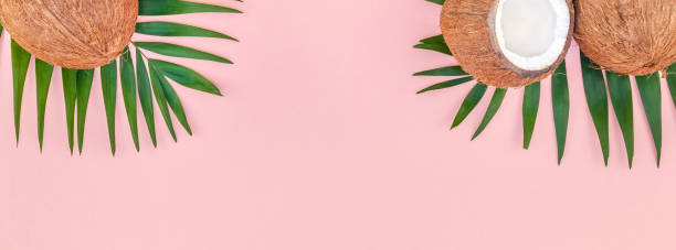 istock Palm leaves and coconuts on pink pastel background 1127759891